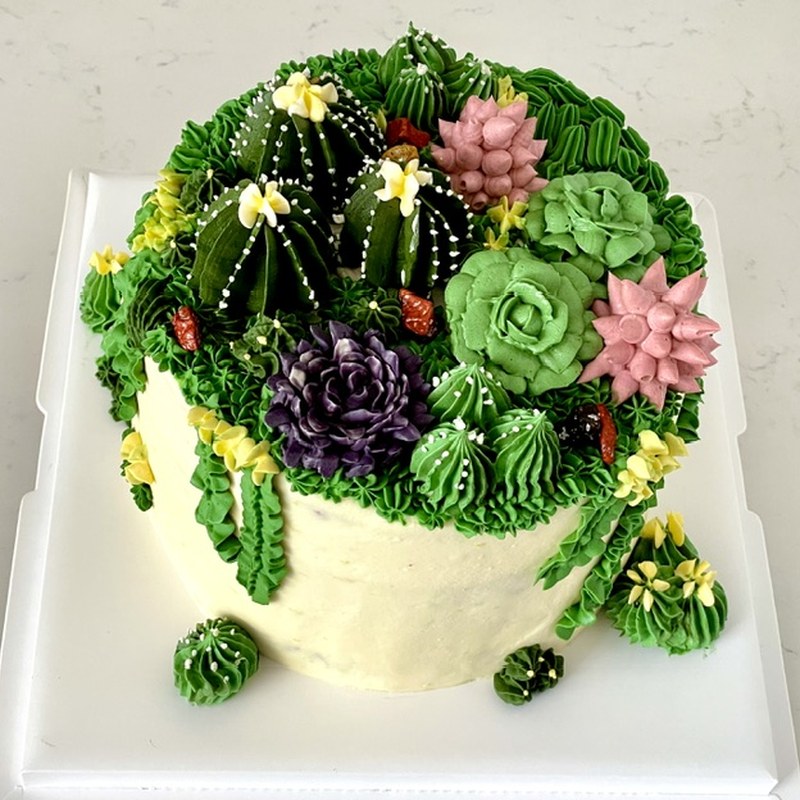 Custom cake — Buttercream succulents